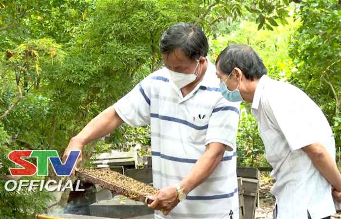 Phát huy 2 phong trào trọng tâm của Hội Cựu Chiến binh